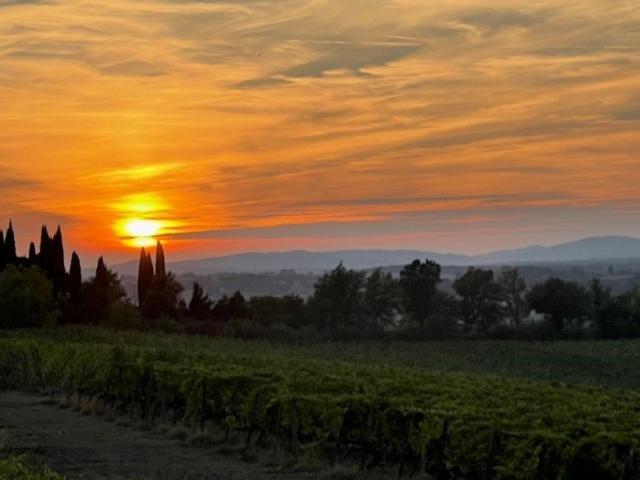 Podere Borgaruccio Peccioli Екстериор снимка