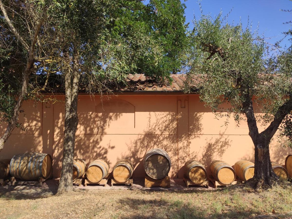 Podere Borgaruccio Peccioli Екстериор снимка