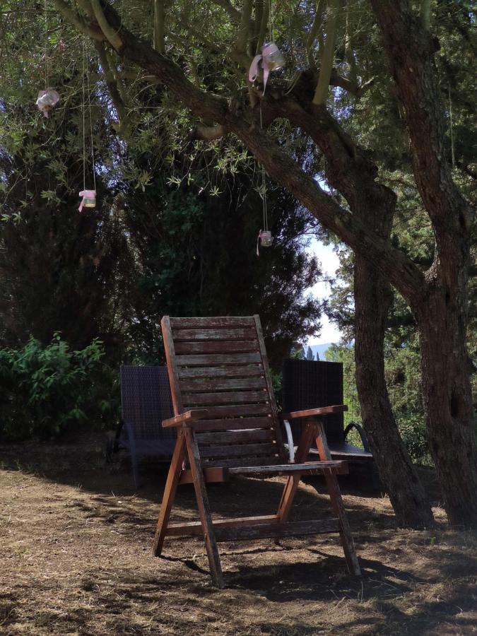 Podere Borgaruccio Peccioli Екстериор снимка