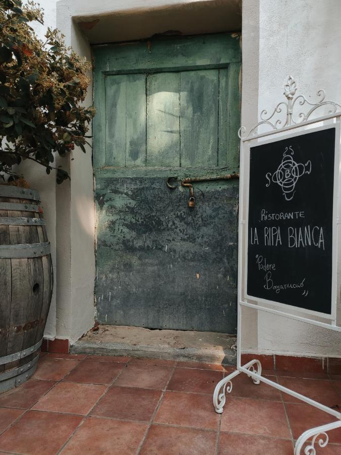 Podere Borgaruccio Peccioli Екстериор снимка