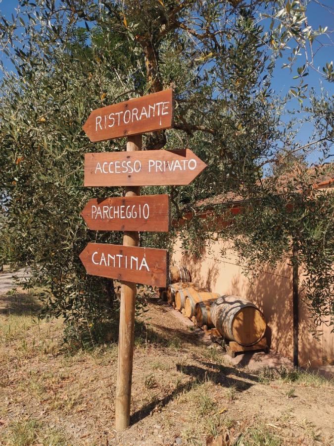 Podere Borgaruccio Peccioli Екстериор снимка