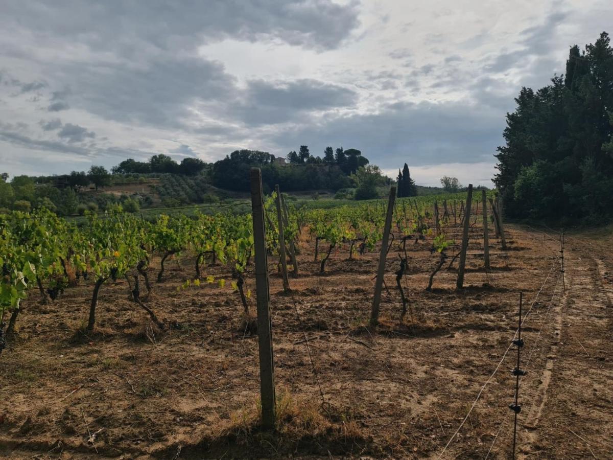 Podere Borgaruccio Peccioli Екстериор снимка