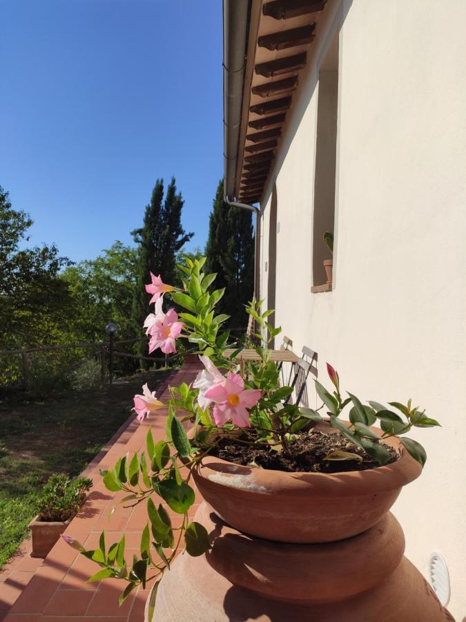 Podere Borgaruccio Peccioli Екстериор снимка