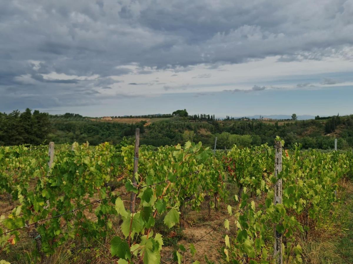 Podere Borgaruccio Peccioli Екстериор снимка