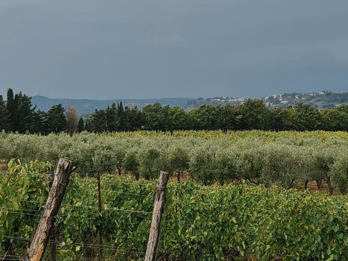 Podere Borgaruccio Peccioli Екстериор снимка