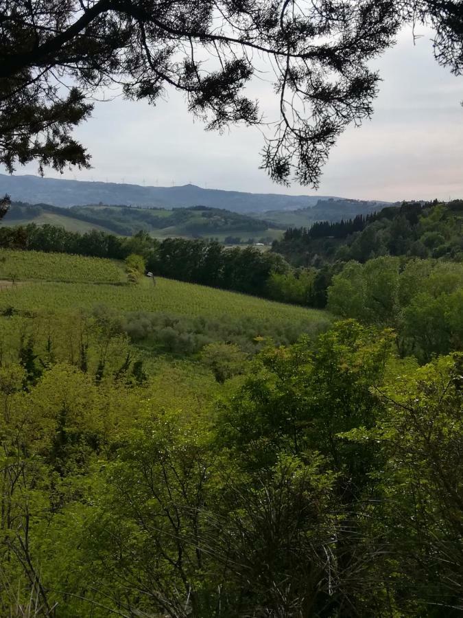 Podere Borgaruccio Peccioli Екстериор снимка